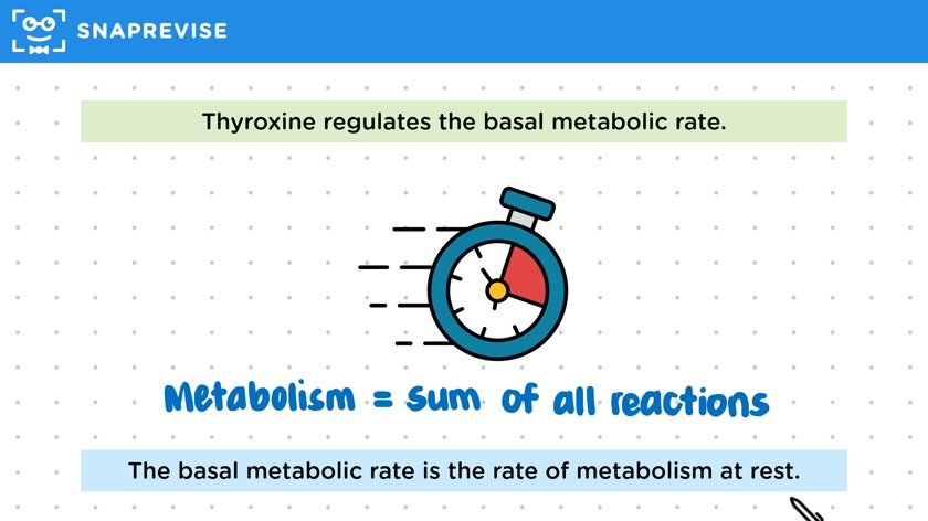 Thyroxine