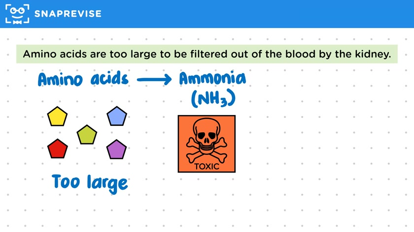 Nitrogen Balance