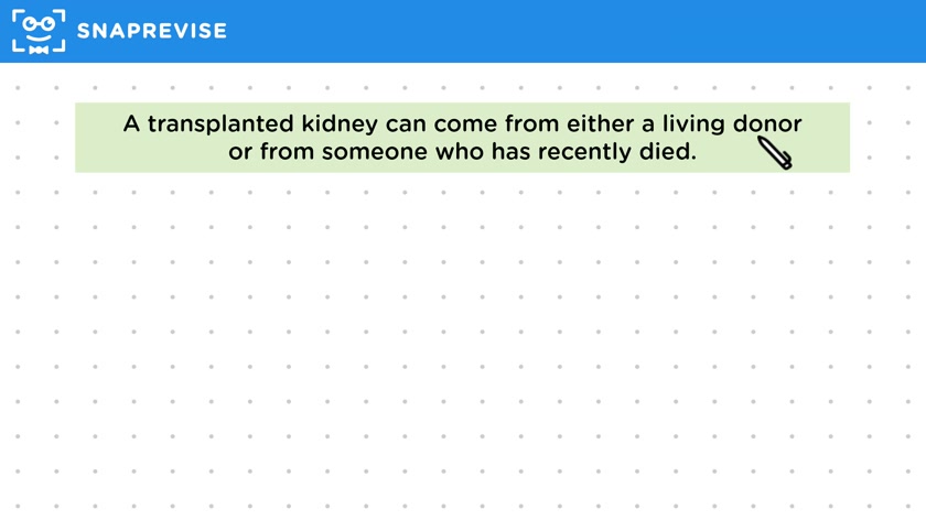 Kidney Transplants