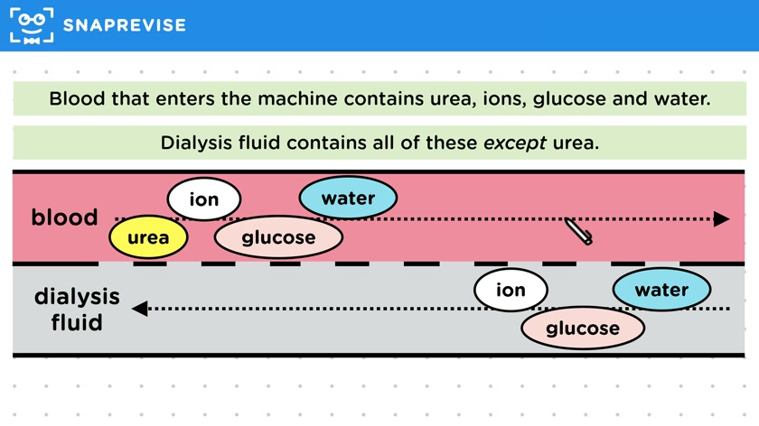 Kidney Dialysis
