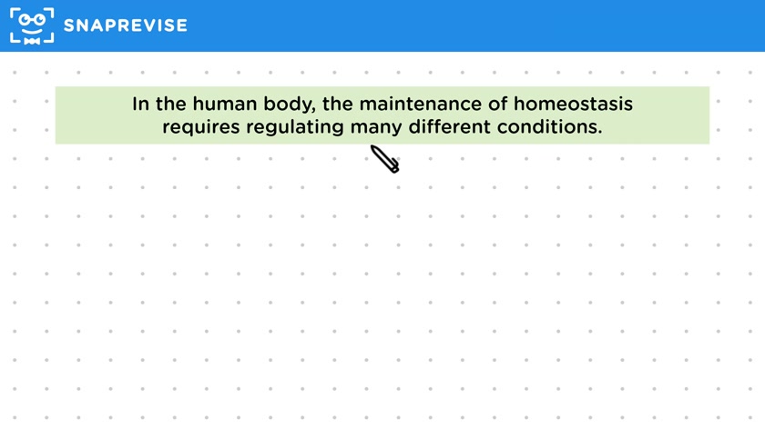Homeostasis