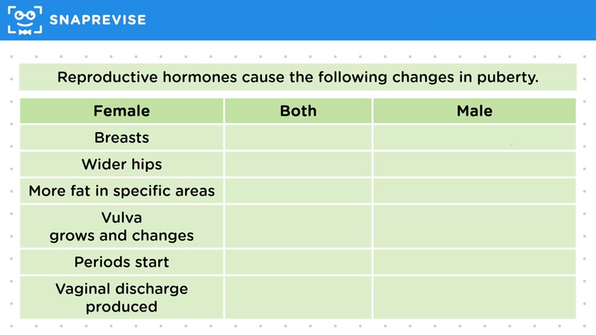 Reproductive Hormones