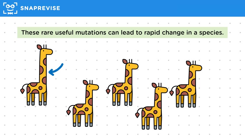 Rapid Species Change