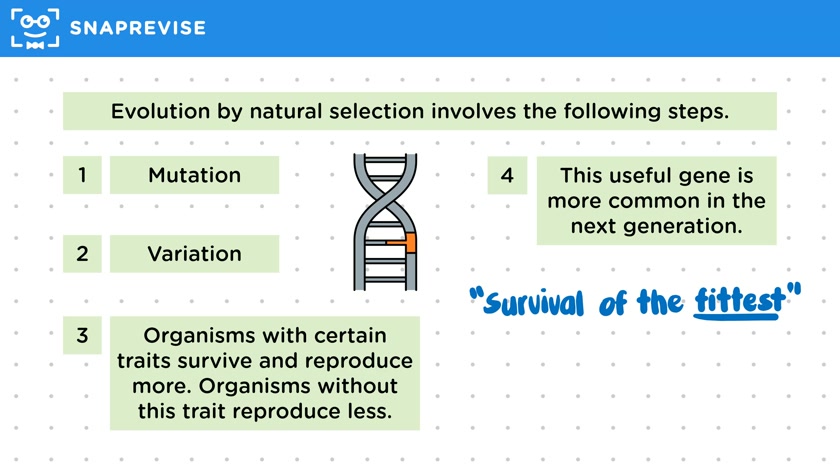 Evolution by Natural Selection