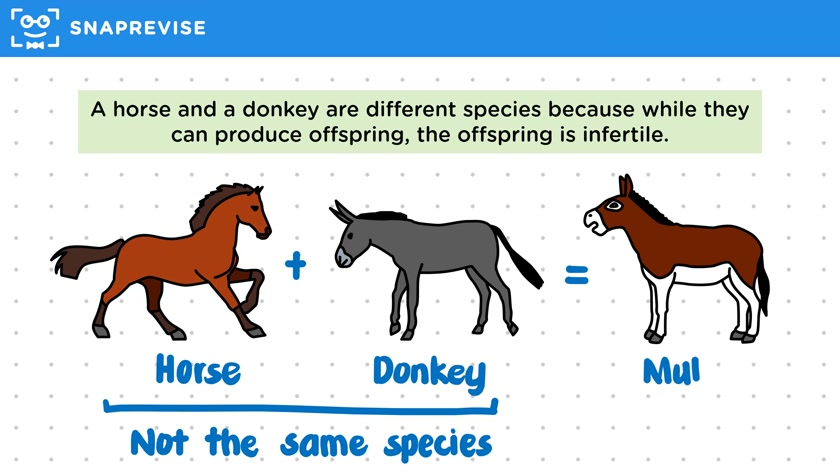 Definition of Species