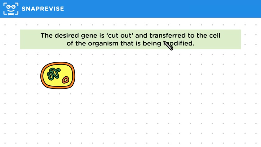Genetic Engineering