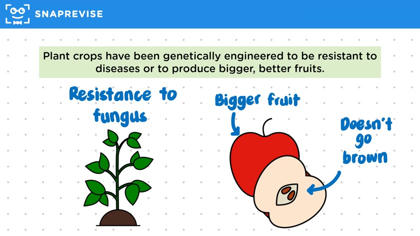 Genetic Engineering in Agriculture