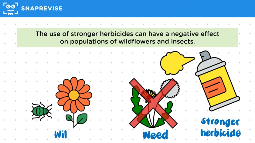 Concerns about GM crops