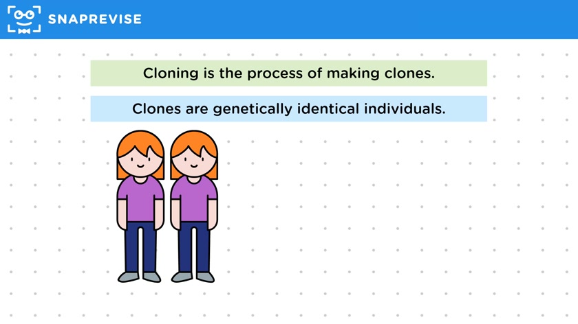 Definition of Cloning