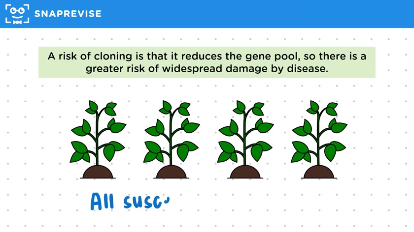 Benefits & Risks of Cloning
