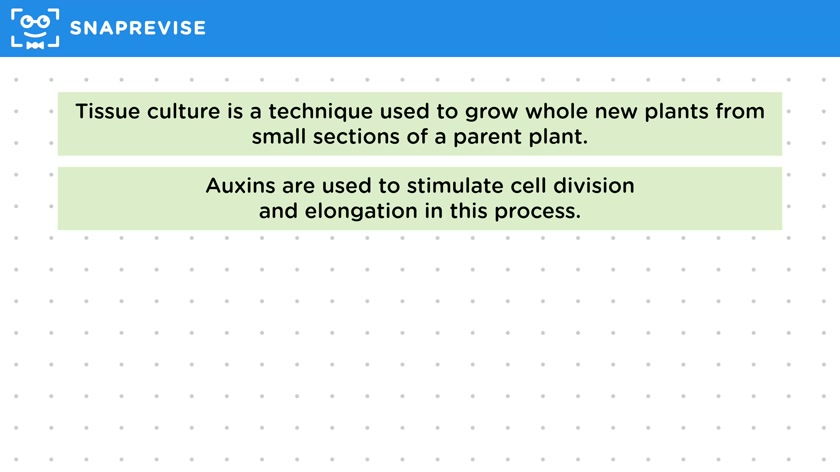 Uses of Auxins