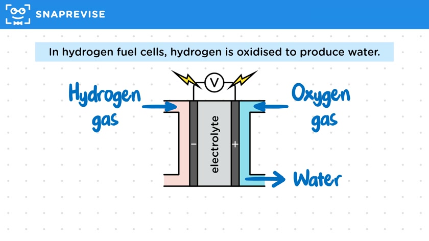 Fuel Cells