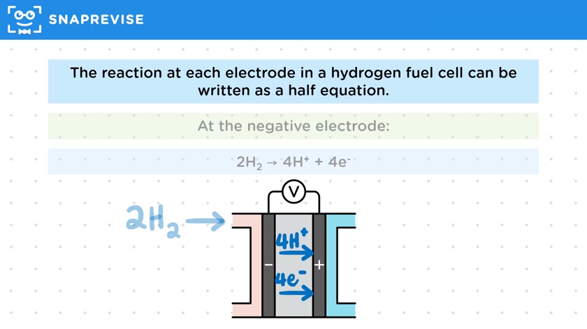 Fuel Cell Half Equations