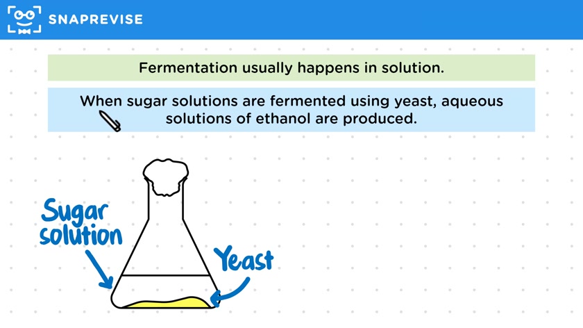 Fermentation
