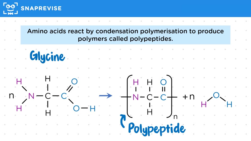 Amino acids, Polypeptides & Proteins