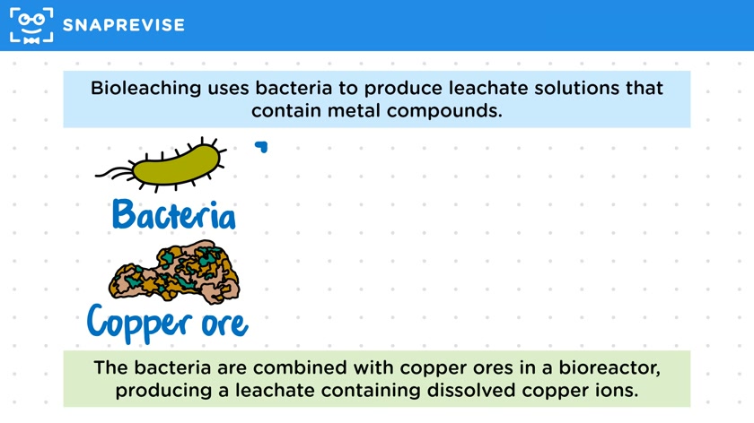 Phytomining and Bioleaching