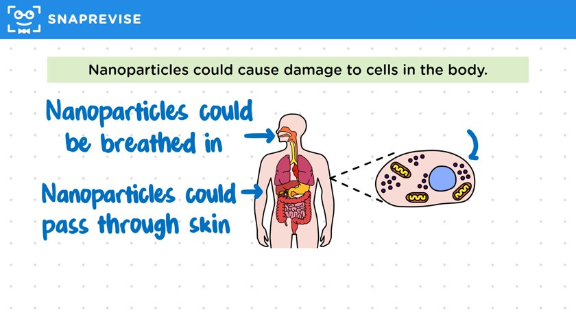 Risks of Nanoparticulate Materials
