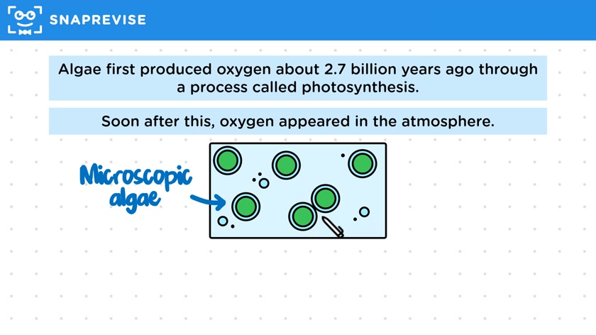 The Early Atmosphere: Oxygen
