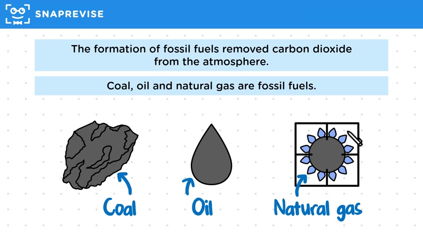 The Early Atmosphere: Carbon Dioxide