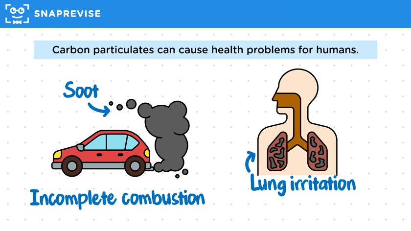 Effects of Atmospheric Pollutants