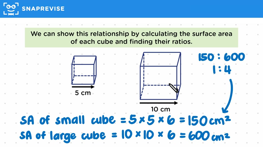 Similarity & Surface Area