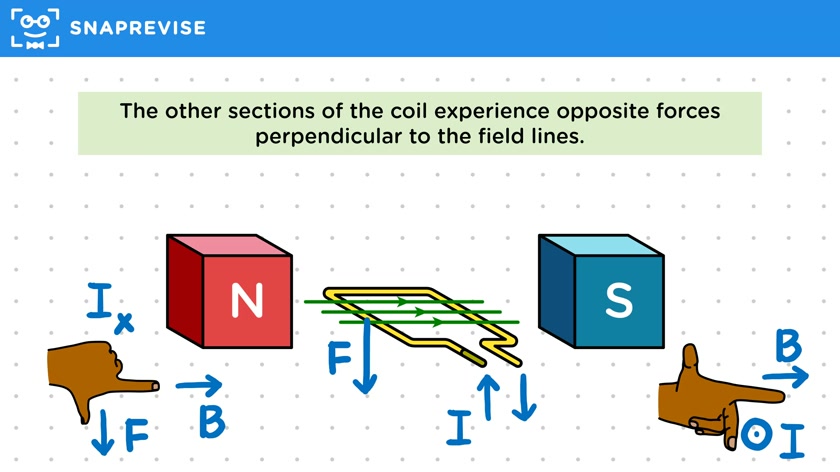 Coil in a Magnetic Field