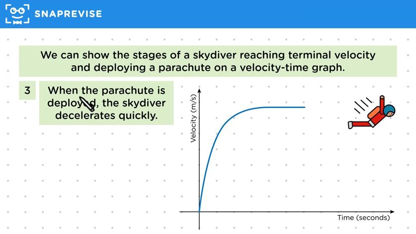 Terminal Velocity-Time Graphs