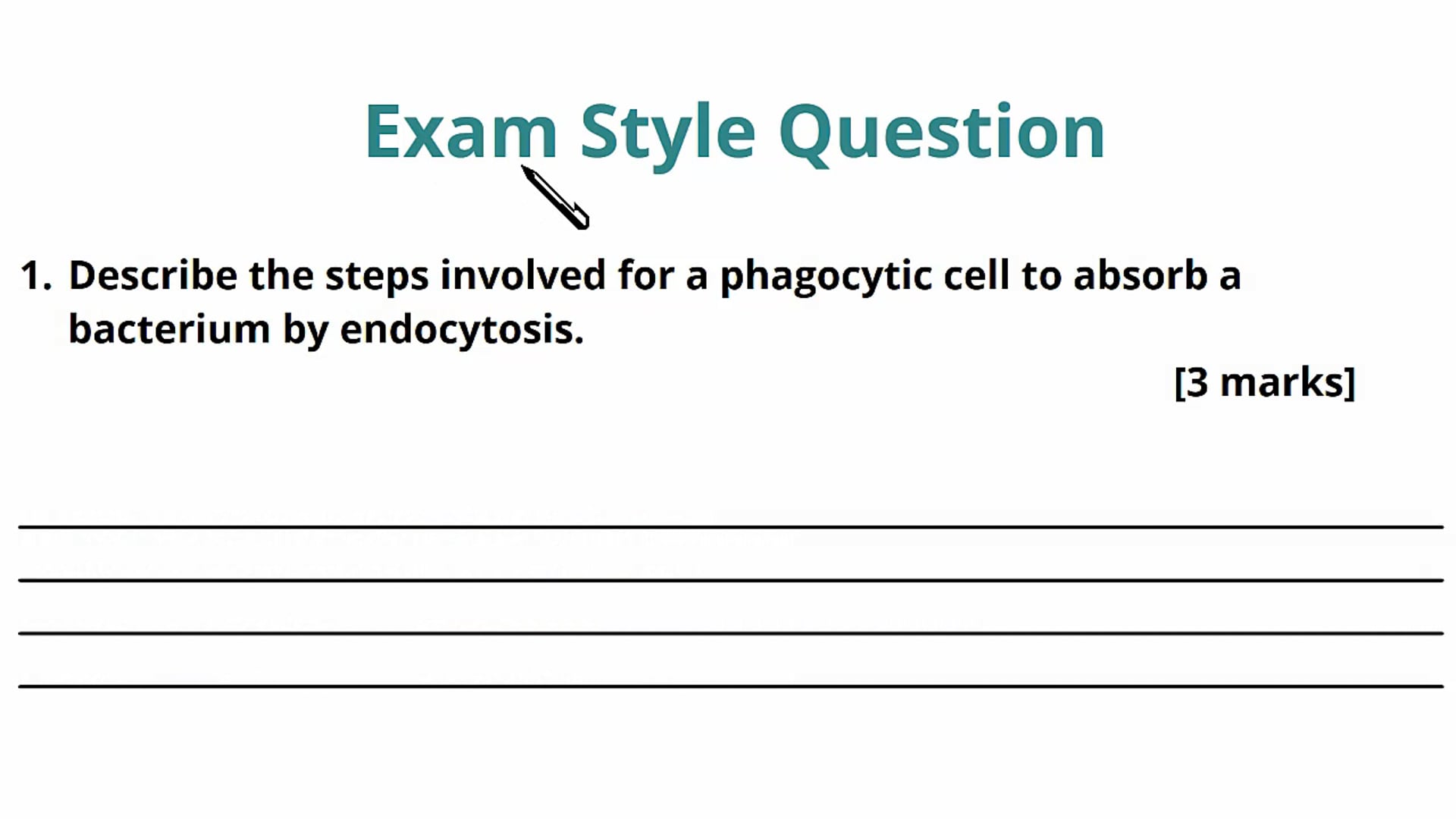 Active Transport Exam Question