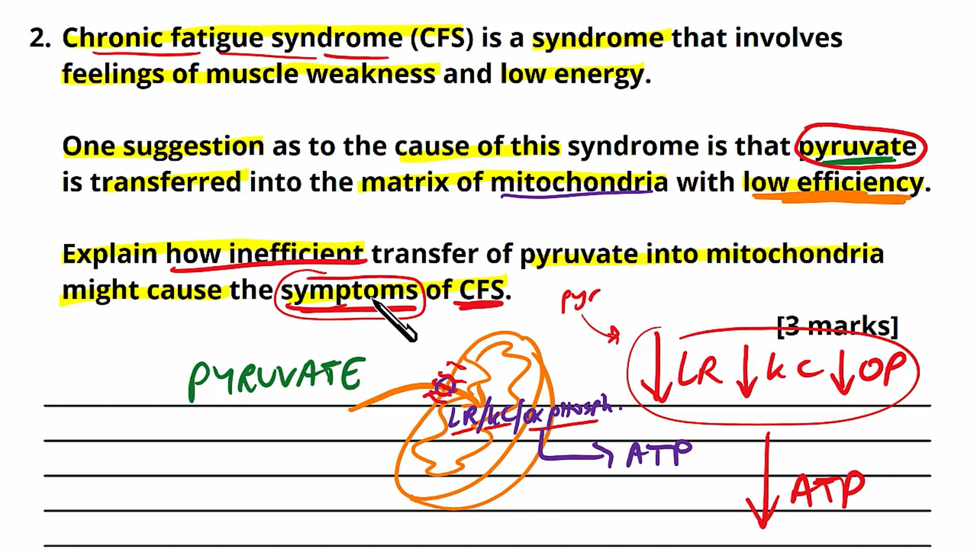 Anaerobic Respiration Exam Question