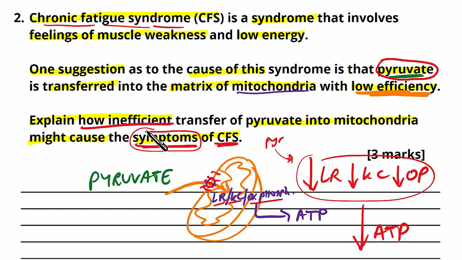 Anaerobic Respiration Exam Question