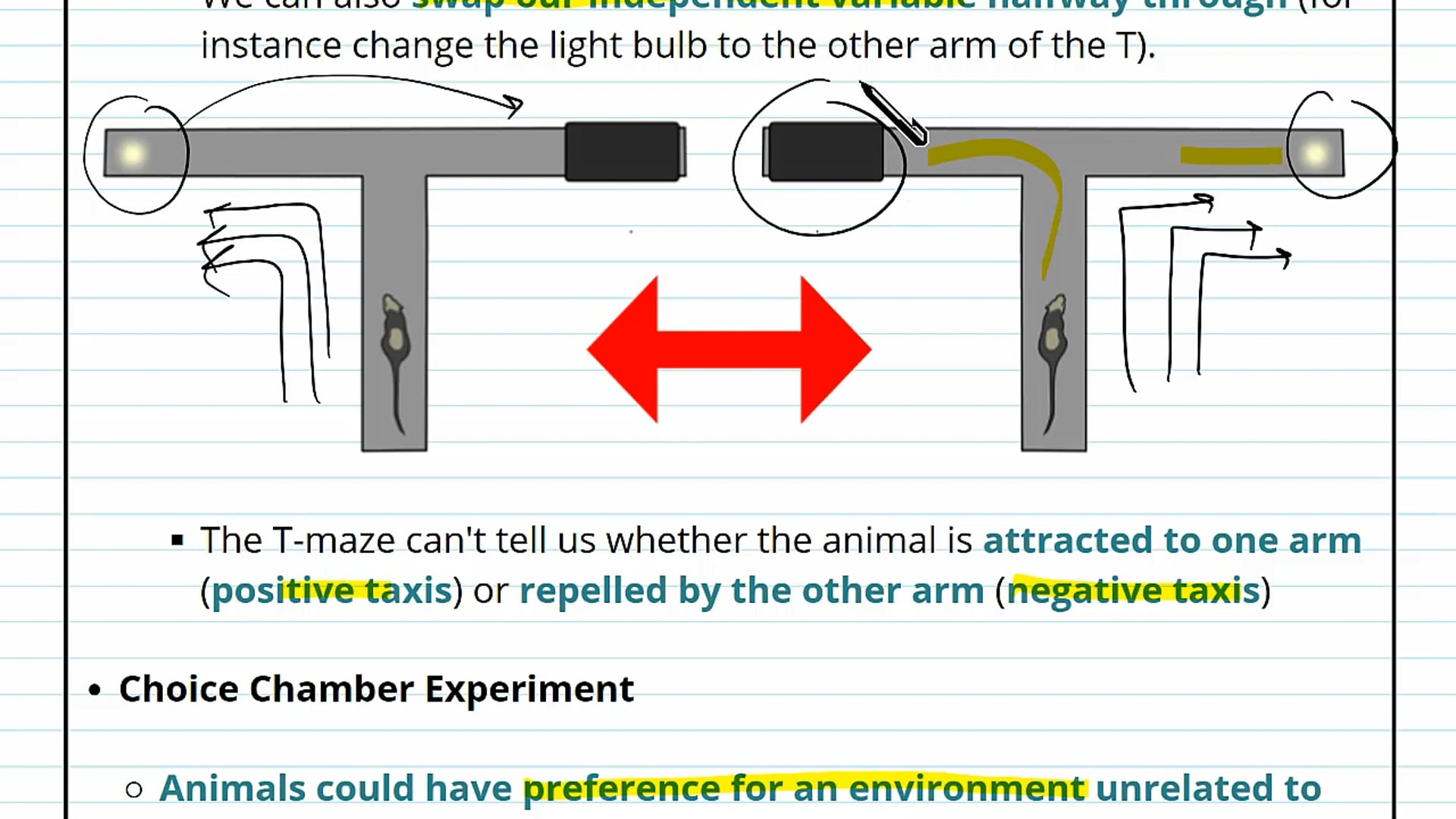 Animal Movements Evaluation