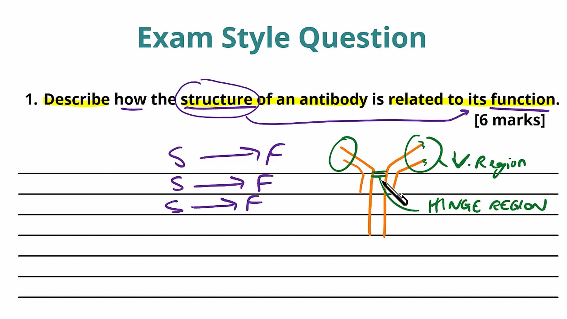 Antibodies Exam Question