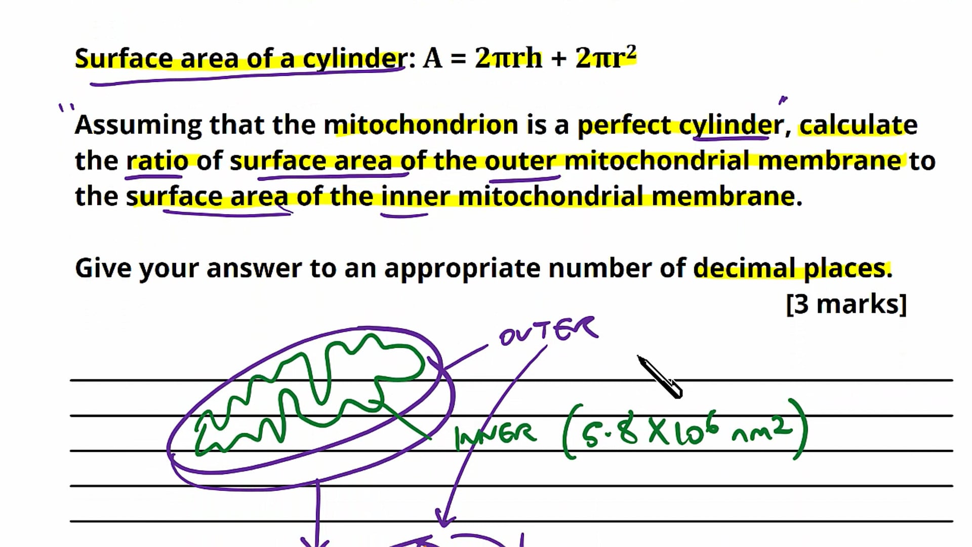 ATP and the Mitochondria Exam Question