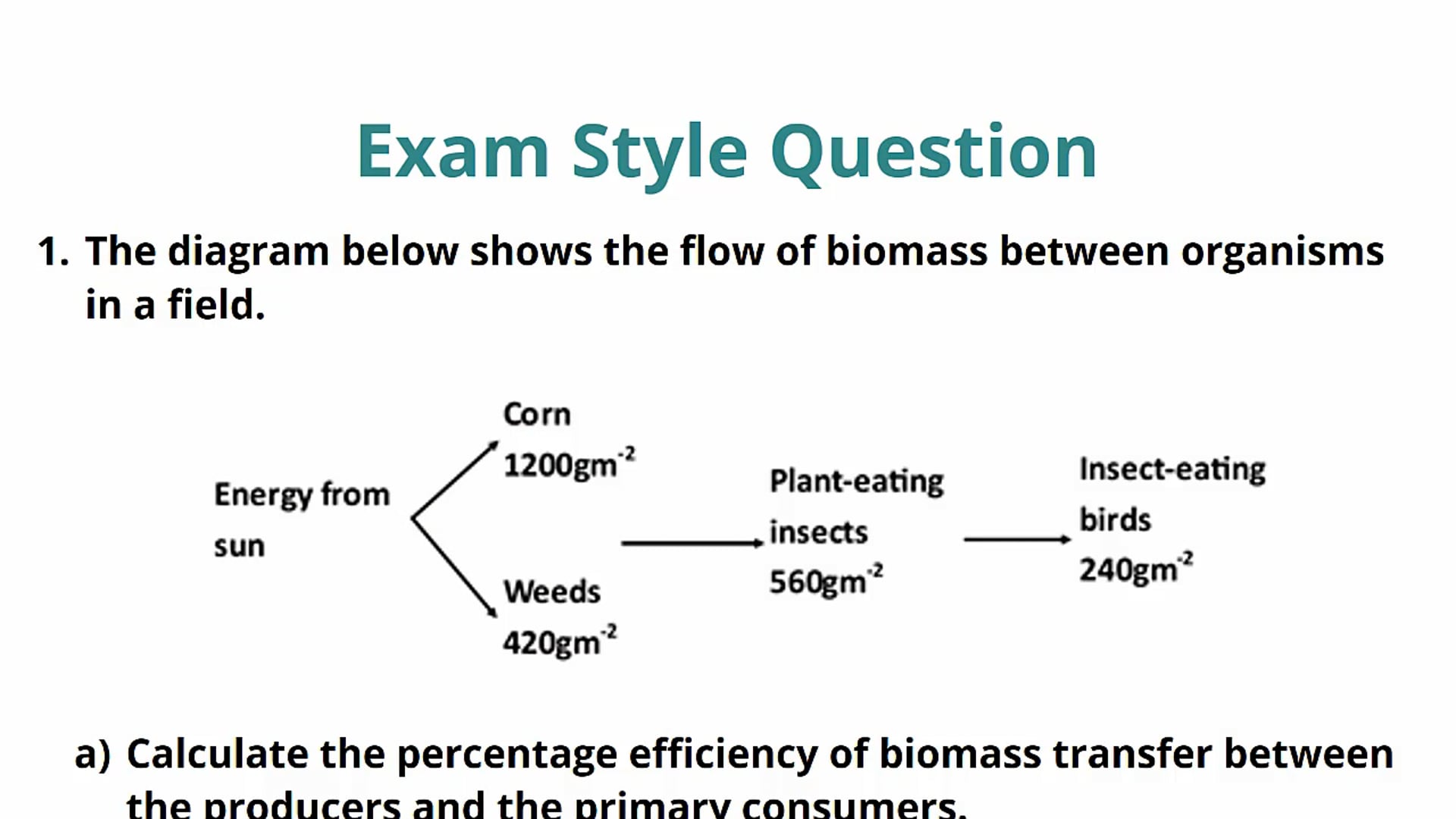 Biomass Exam Question