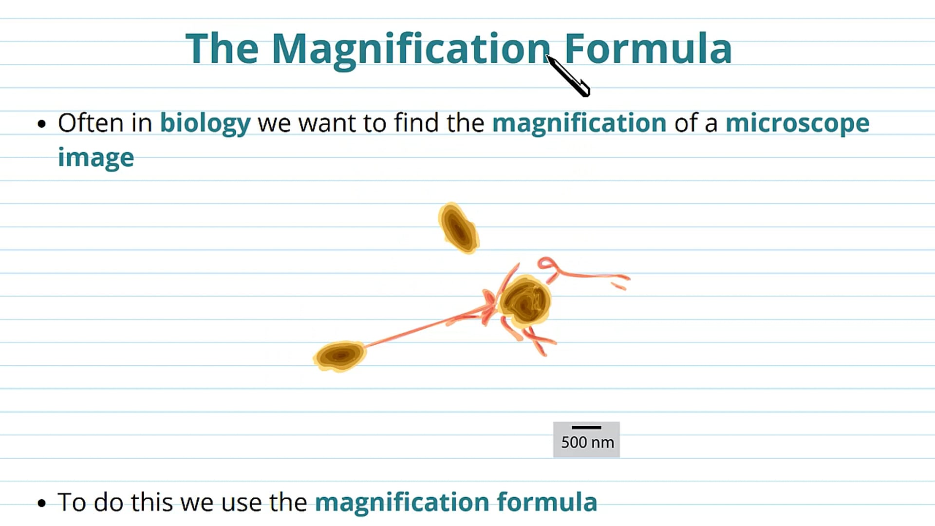 Calculating Magnification