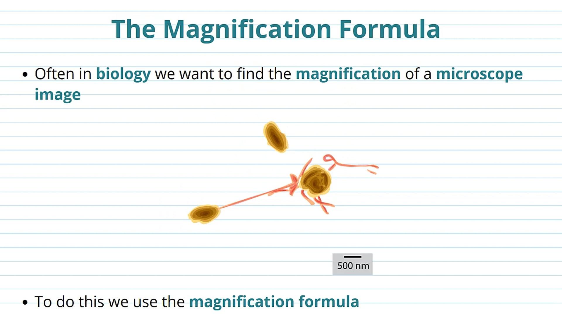 Calculating Magnification
