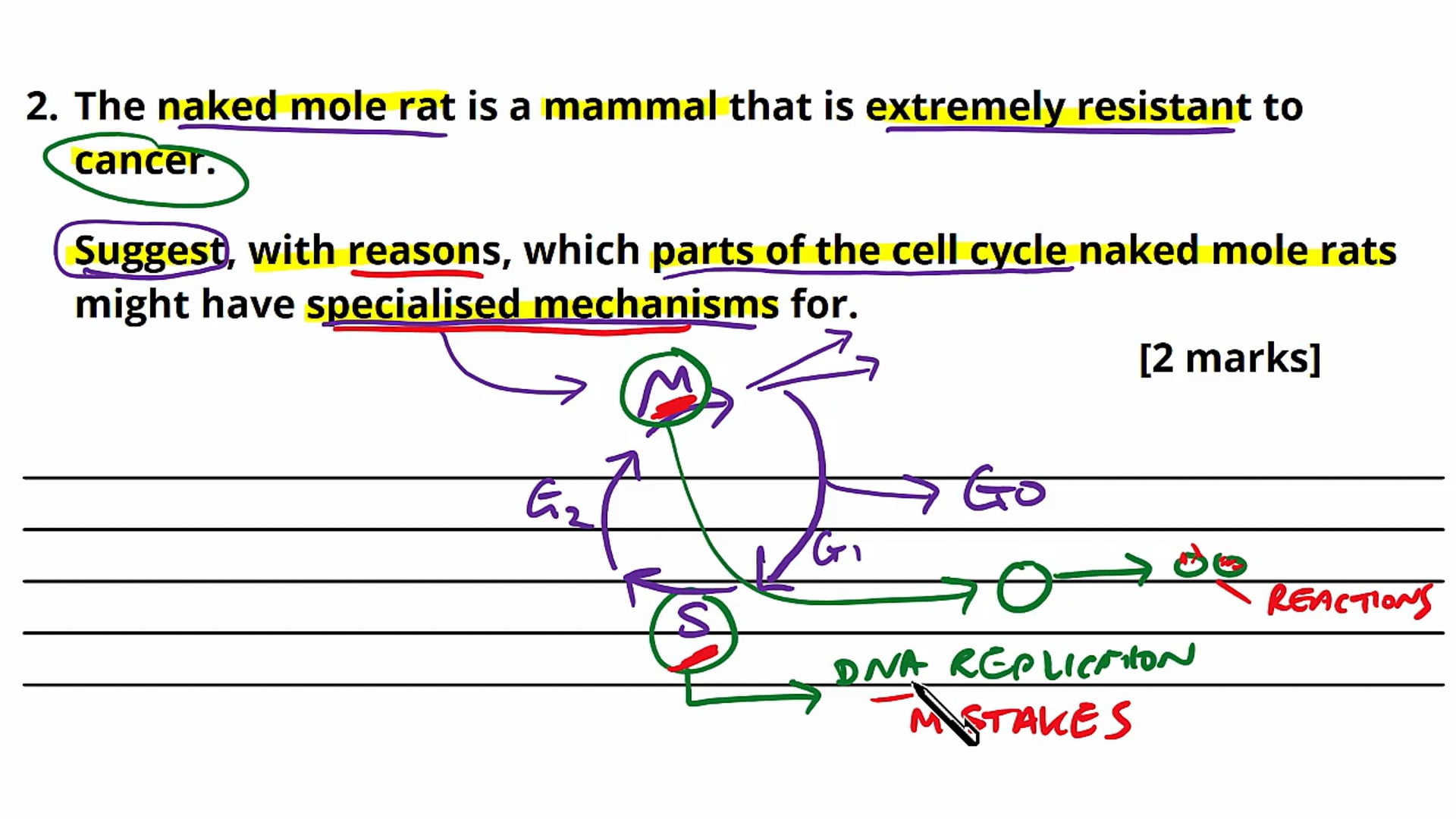 Cell Cycle Exam Question