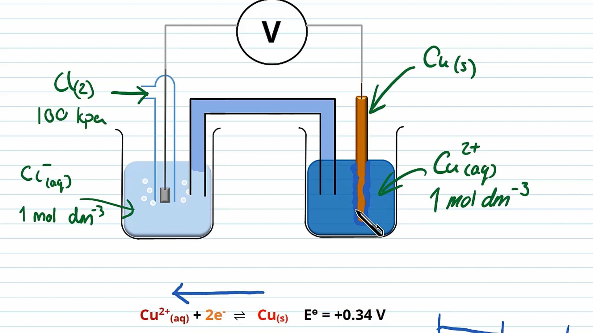 Cell Reactions