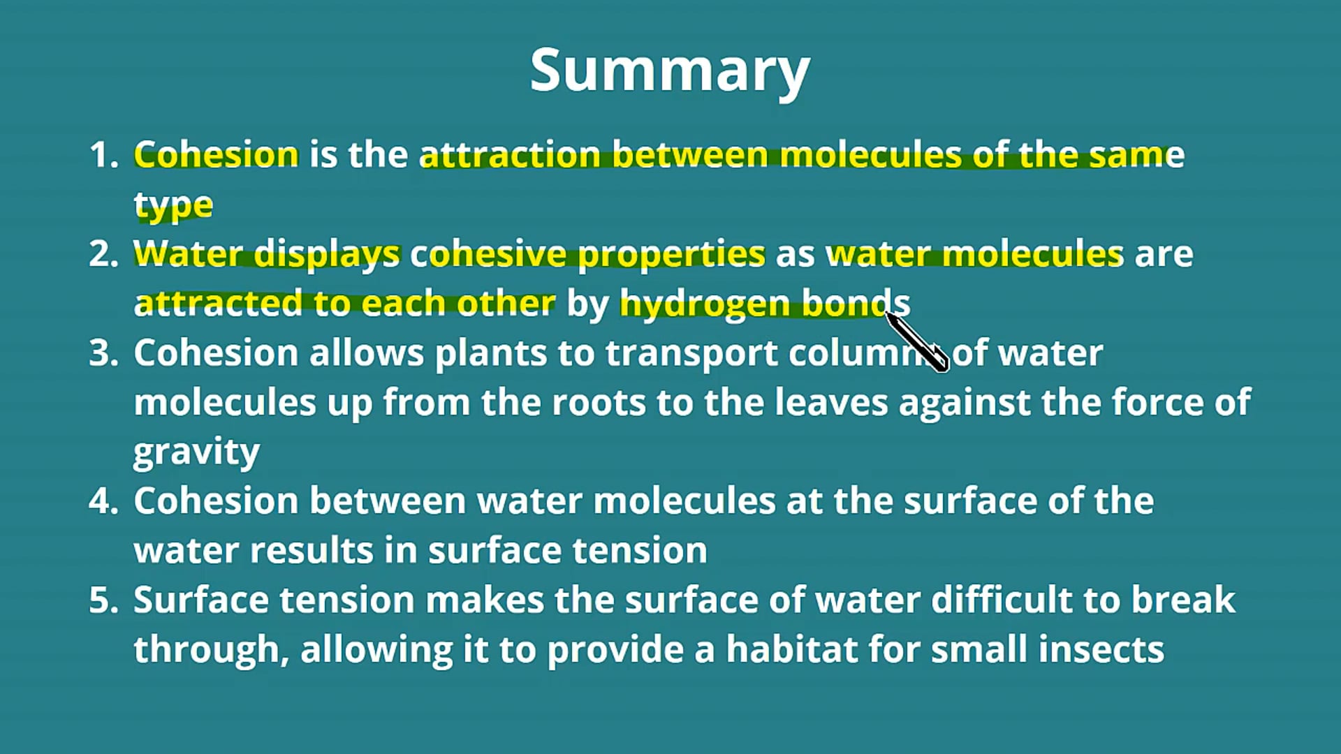 Cohesion of Water