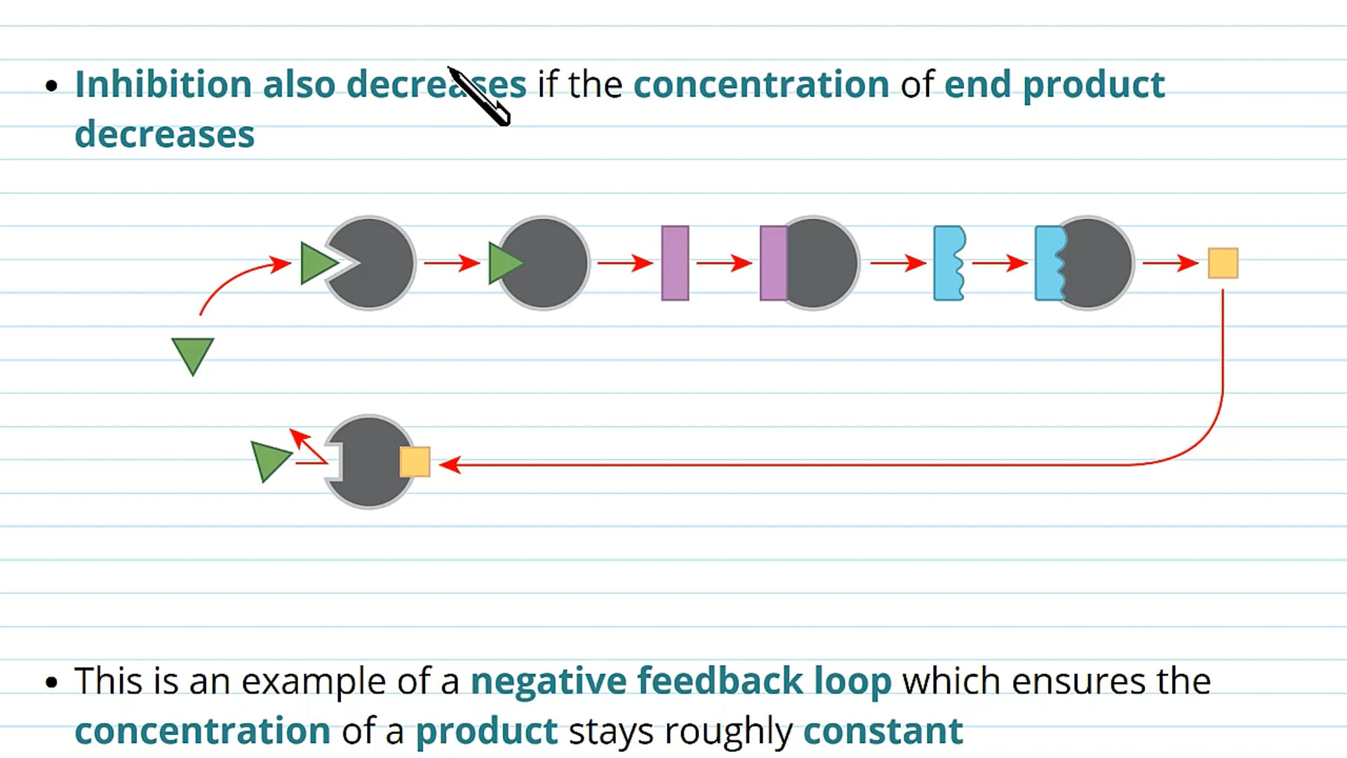 Comparing Methods of Enzyme Inhibition