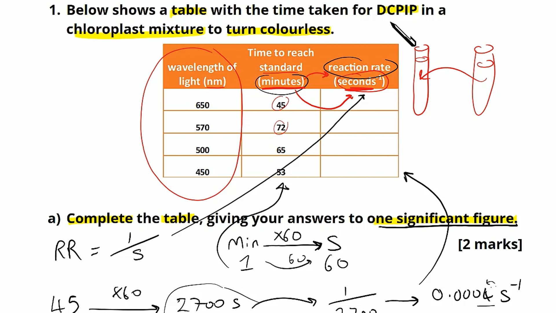 Dehydrogenase Activity Exam Questions 2