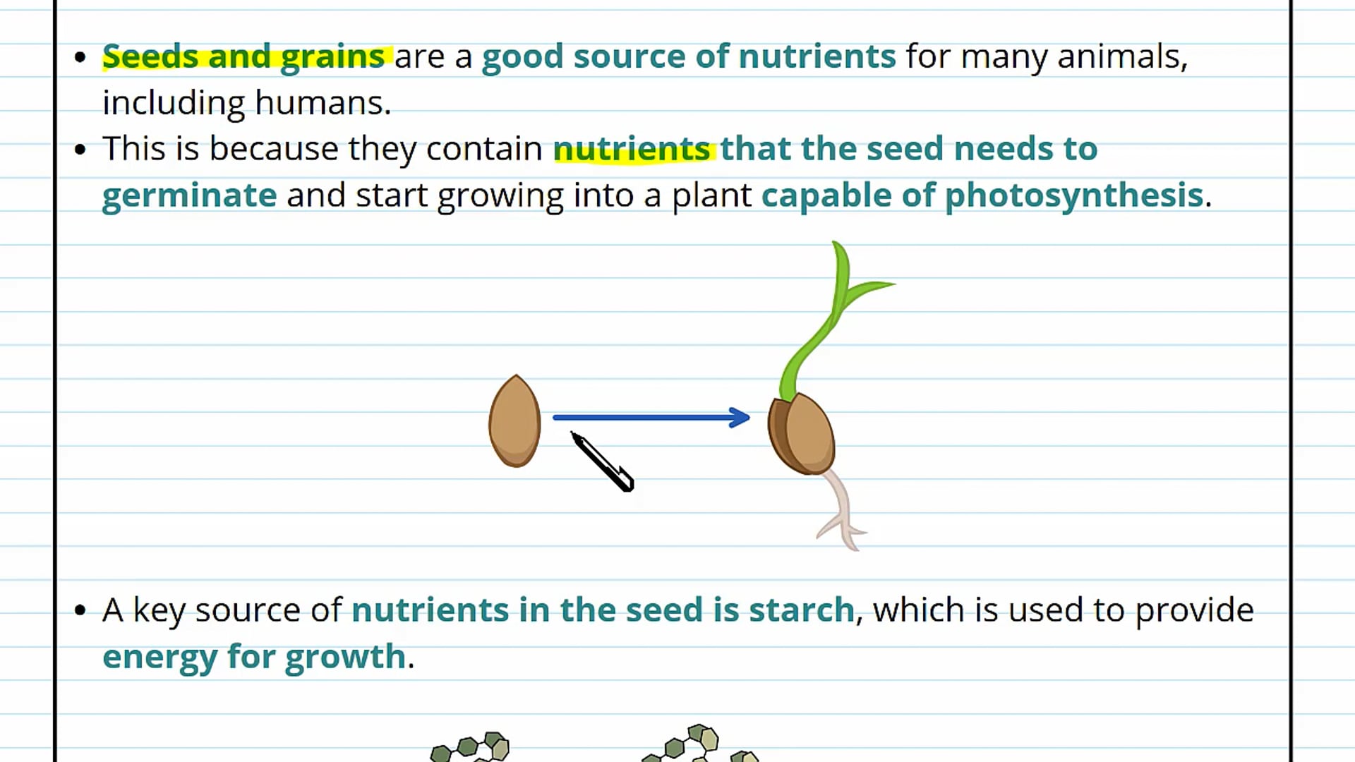 Effects of Gibberellin on Amylase Activity in Seeds Background