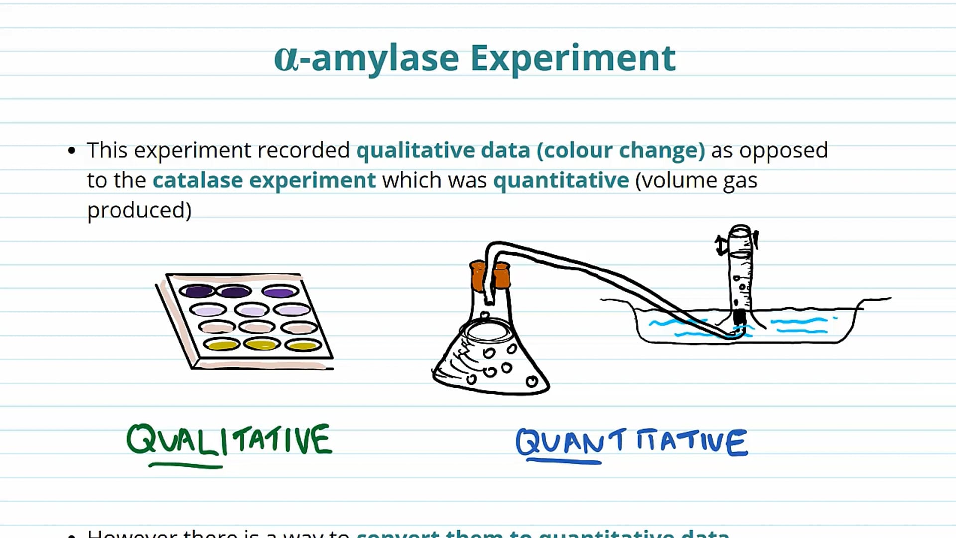 Enzyme Reactions Analysis (Part 2)
