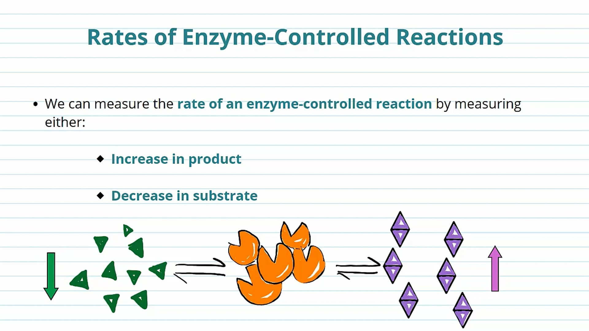 Enzyme Reactions Background (Part 2)