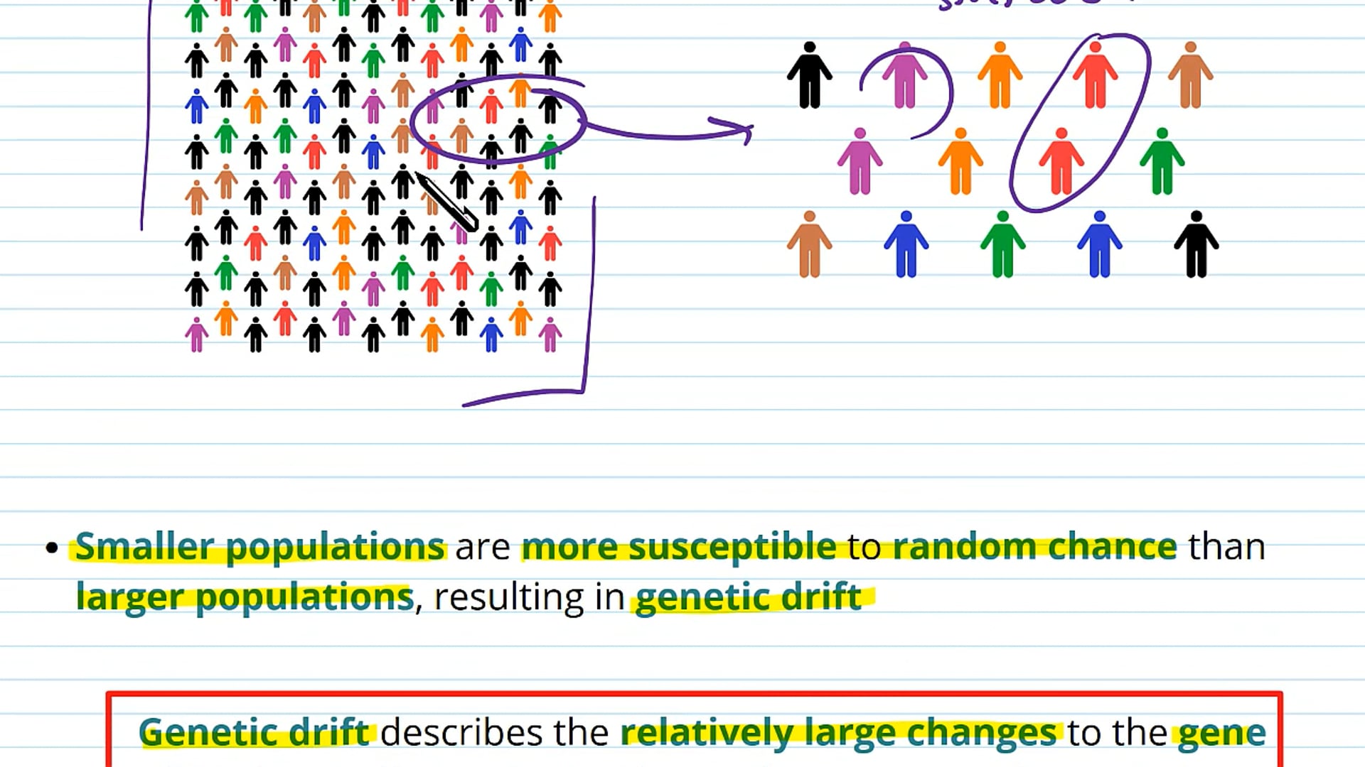 Evolutionary Processes in Small Populations