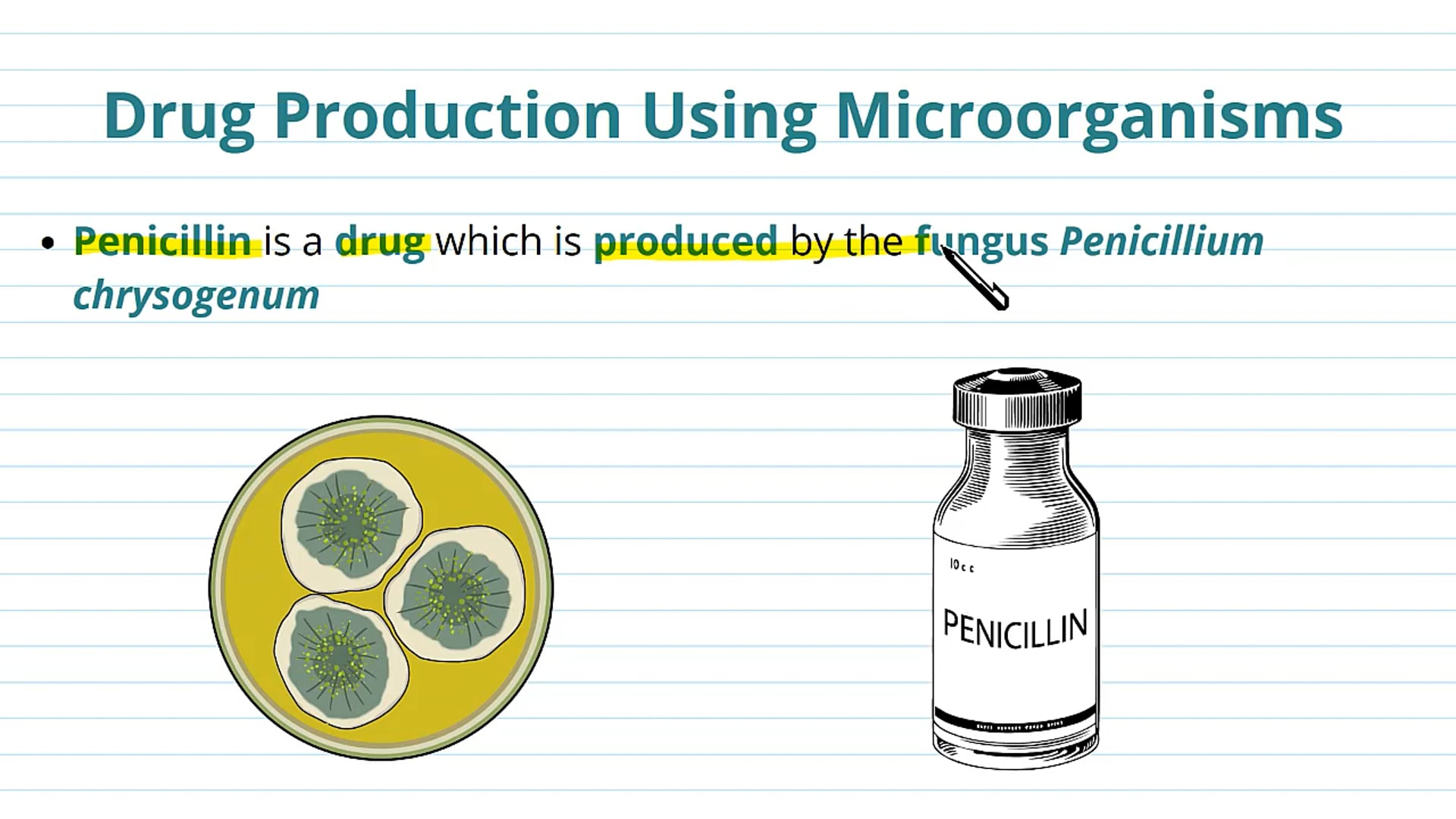 Examples of Drug Production Using Microorganisms