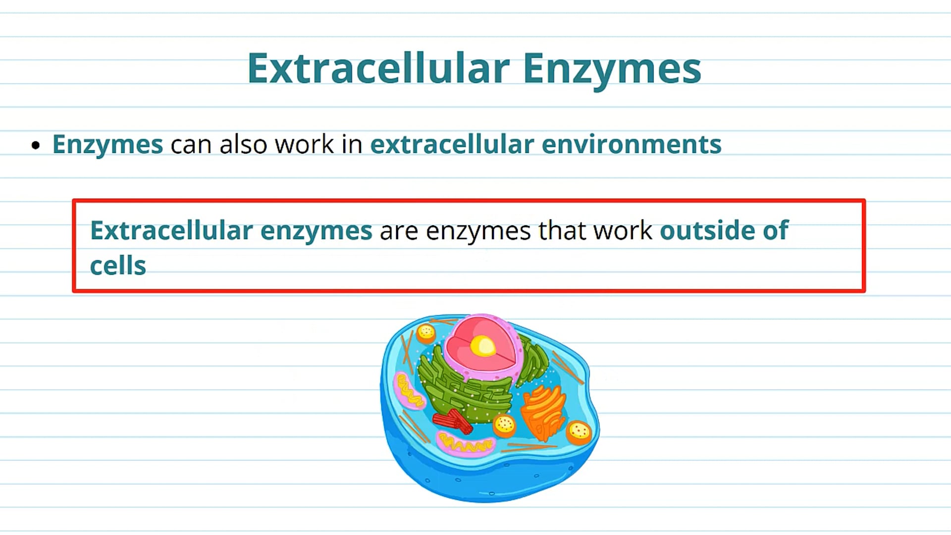 Extracellular Enzymes