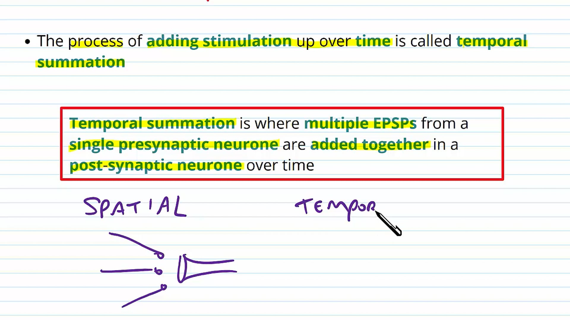Features of Synapses