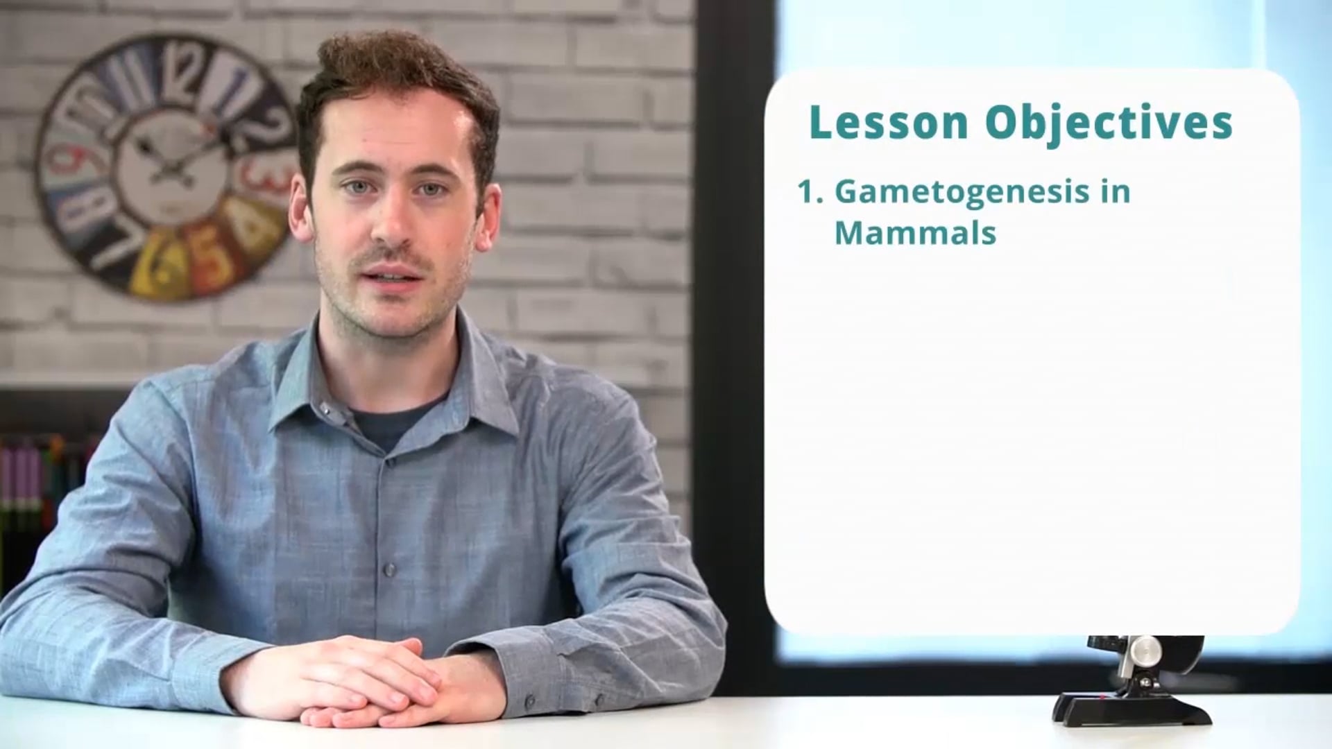 Gametogenesis in Mammals