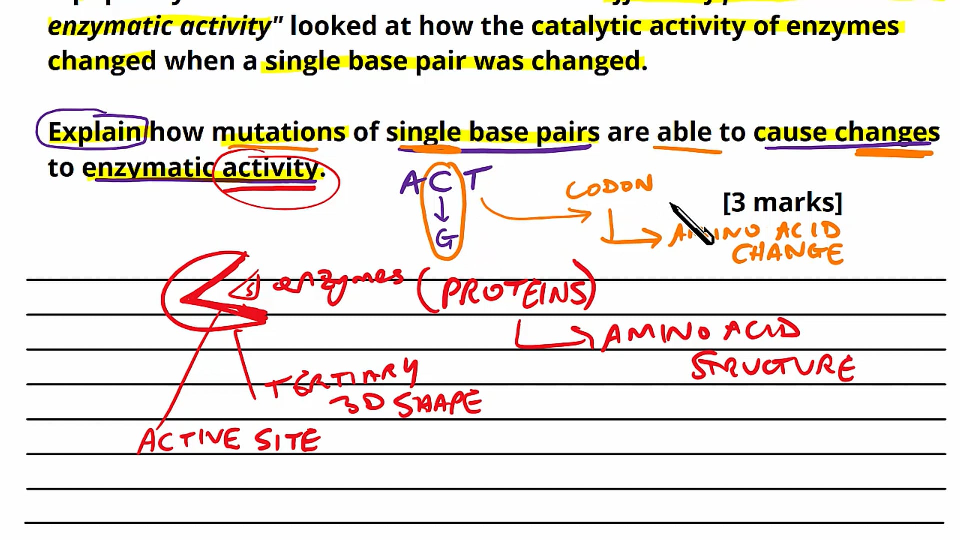 Genetic Code Exam Question